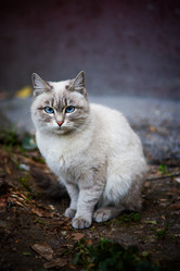 Similar image 402973