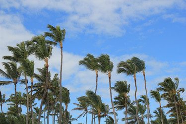 Similar image 402975