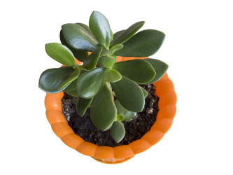 Similar image 402981