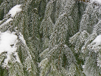 Similar image 402989