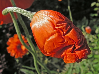 Similar image 402999