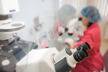 Similar image 403023