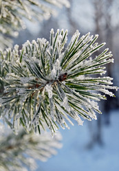 Similar image 403037