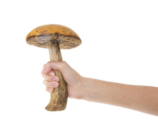 Similar image 403070