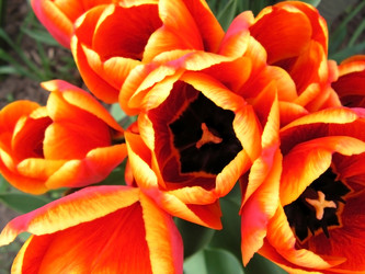 Similar image 403080