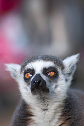 Similar image 403083