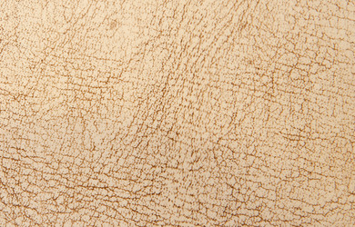 Similar image 403100