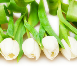 Similar image 403101