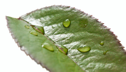 Similar image 403145