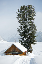 Similar image 403154