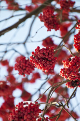 Similar image 403160