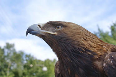 Similar image 403166