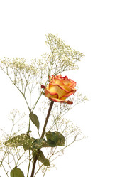 Similar image 403201