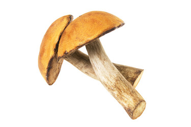 Similar image 403227