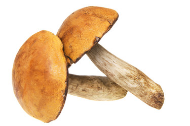 Similar image 403228