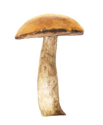 Similar image 403229