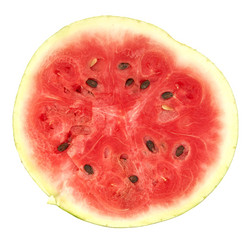 Similar image 403265