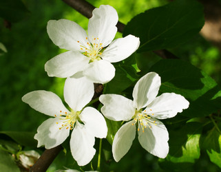 Similar image 403291