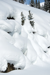 Similar image 403316