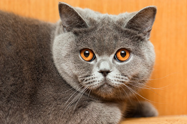 Similar image 403340