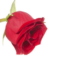 Similar image 403361