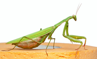 Similar image 403406