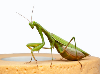 Similar image 403413