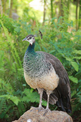 Similar image 403418