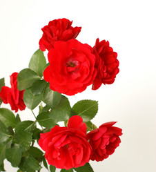 Similar image 403428