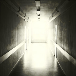 Similar image 403436