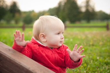 Similar image 403437