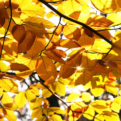 Similar image 403455