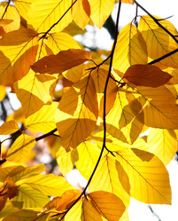 Similar image 403458