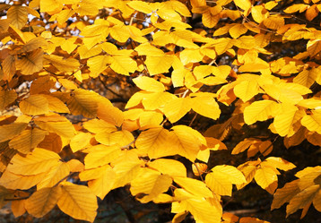 Similar image 403460