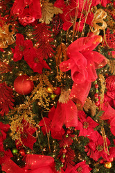 Similar image 403498