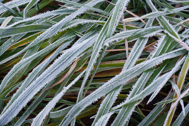 Similar image 403524