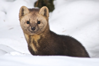 Similar image 403540