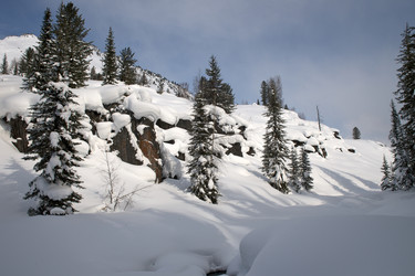 Similar image 403550