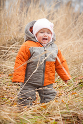 Similar image 403584