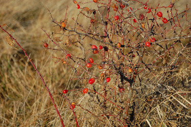 Similar image 403604