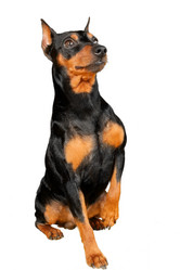 Similar image 403620