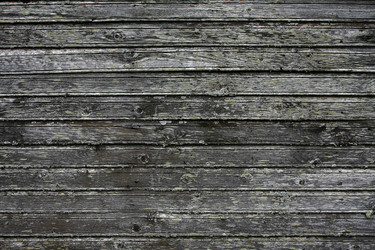 Similar image 403630