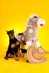 Similar image 403631