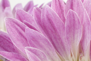 Similar image 403632