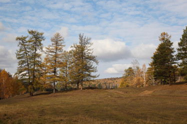 Similar image 403638