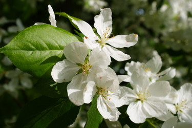 Similar image 403640