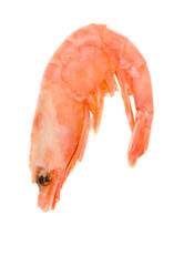 Similar image 403692