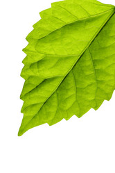 Similar image 403736