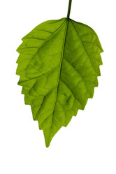 Similar image 403738