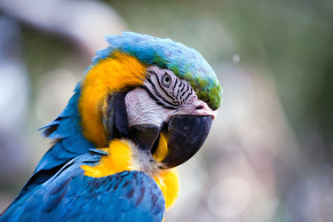 Similar image 403740